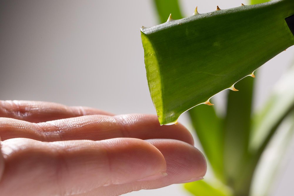 gotas de aloe vera cayendo en mano femenina