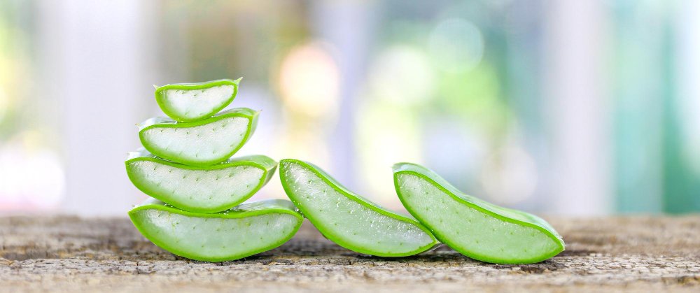 exfoliante manos aloe vera para mujeres trozos de aloe vera superpuestos utilizados como exfoliantes de manos